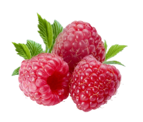 raspberry